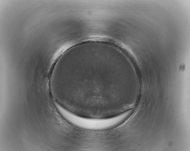 X0000094231362200711021153