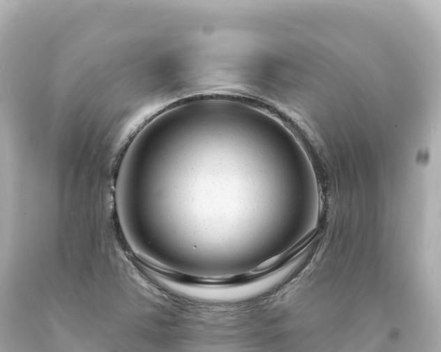 X0000094231363200711021153