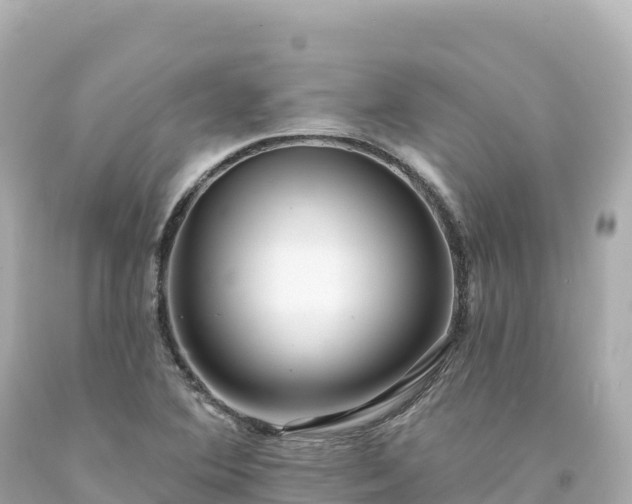 X0000094231364200711021153