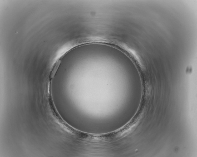 X0000094231365200711021153