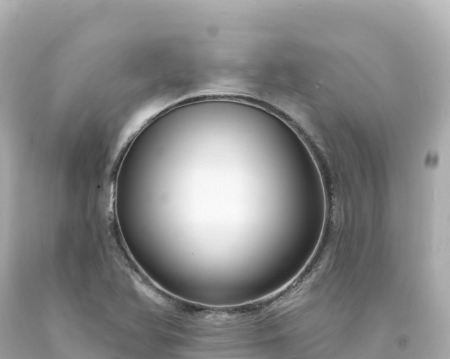 X0000094231366200711021153