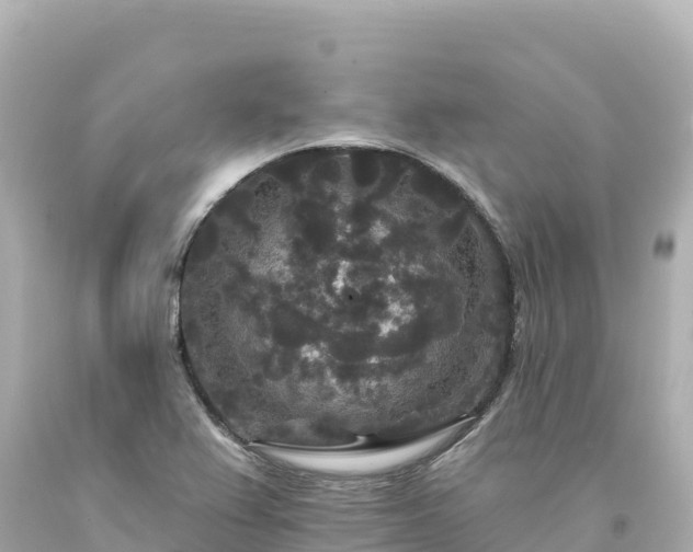 X0000094231367200711021153