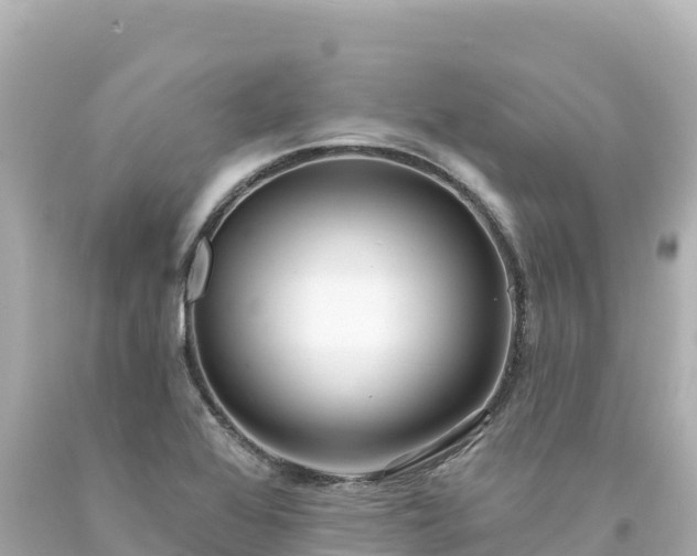 X0000094231368200711021153