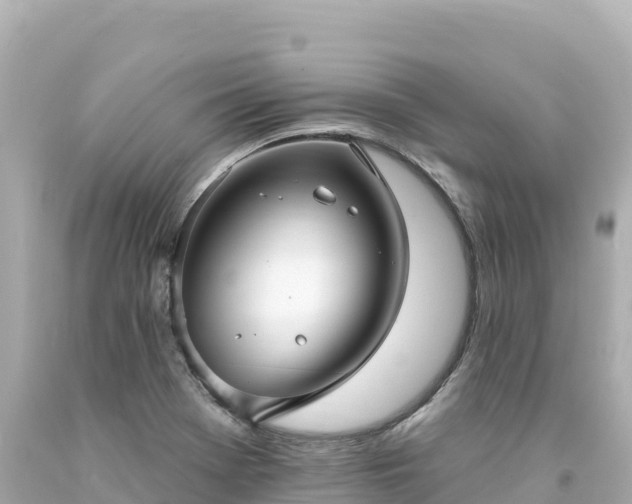 X0000094231369200711021153