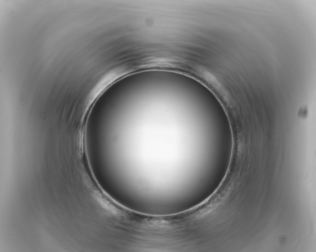 X0000094231370200711021153