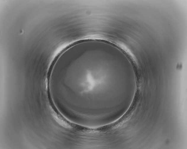 X0000094231372200711021152