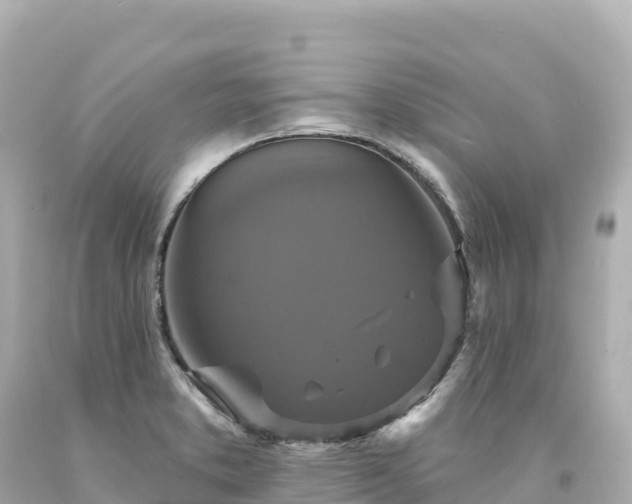 X0000094231373200711021152