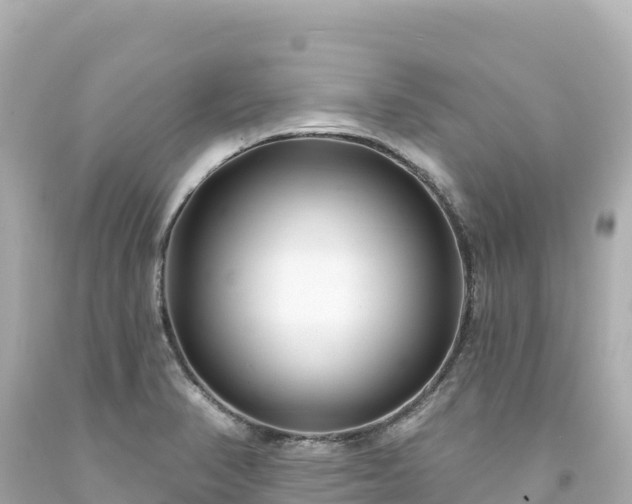 X0000094231374200711021152