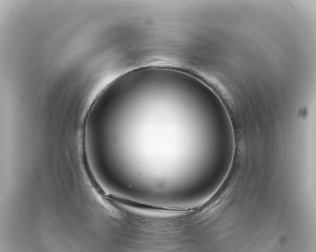 X0000094231375200711021152