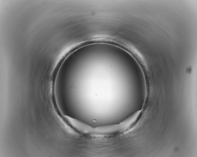 X0000094231376200711021152