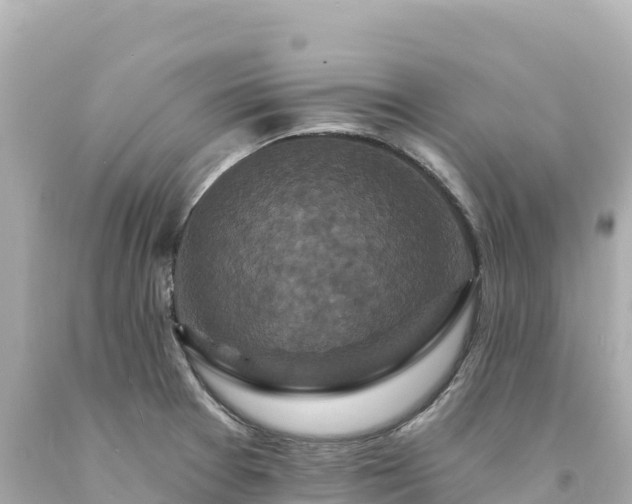 X0000094231377200711021152