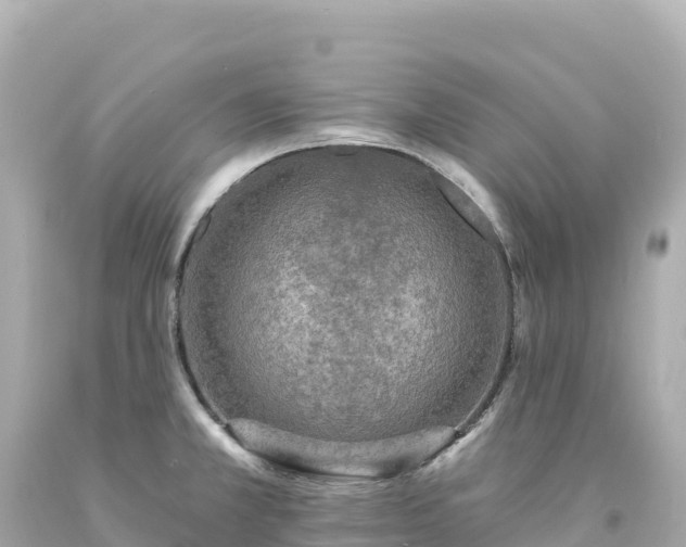 X0000094231381200711021152