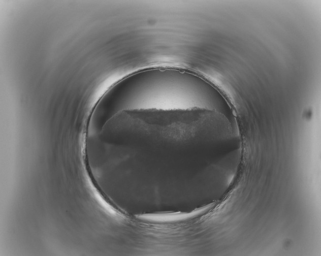 X0000094231383200711021152