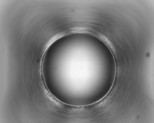 X0000094231386200711021152