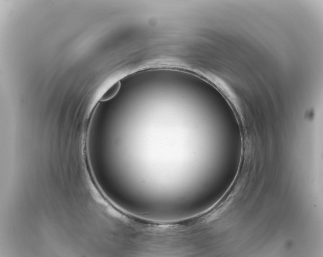 X0000094231390200711021152