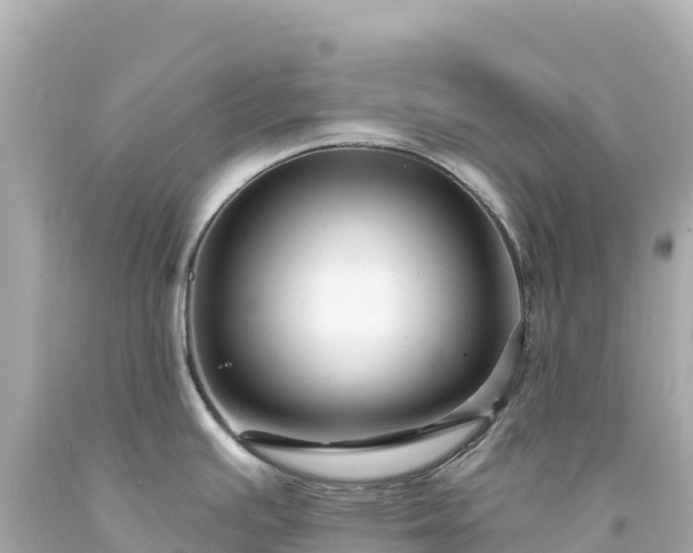 X0000094231391200711021152