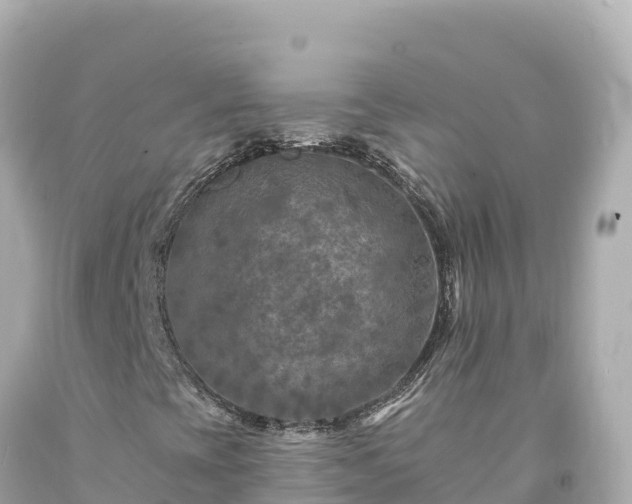 X0000094231393200711021152