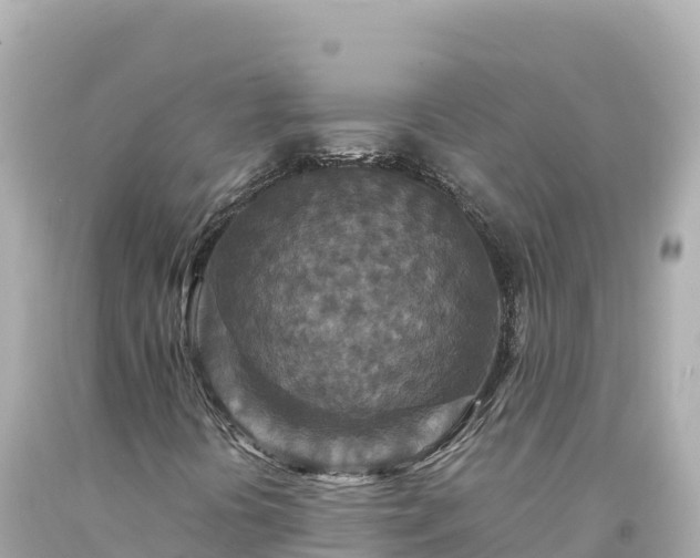 X0000094231394200711021152