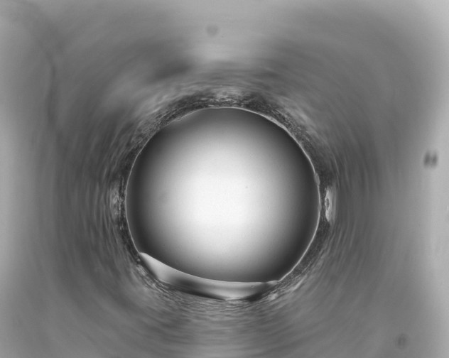 X0000094231395200711021152