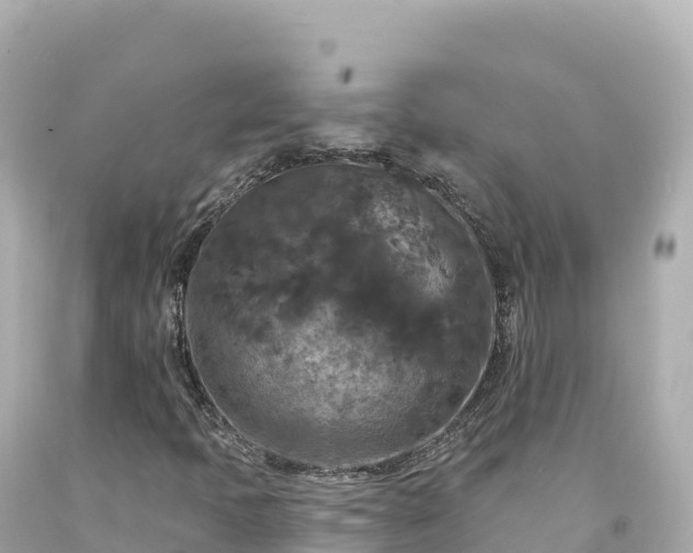 X0000094231397200711021152