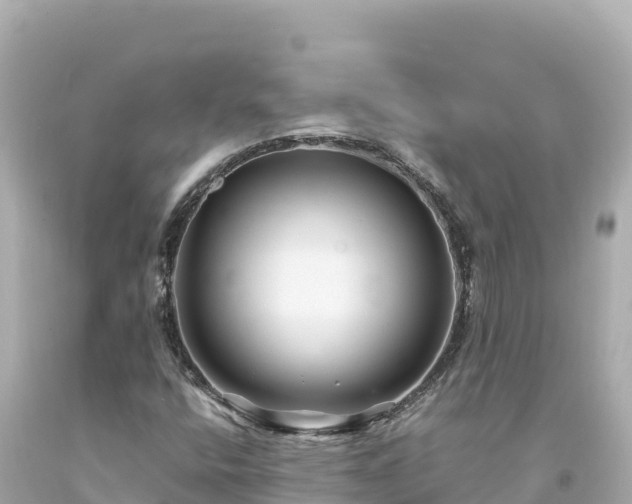 X0000094231400200711021152