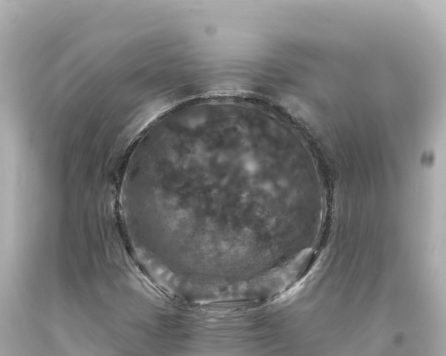 X0000094231401200711021152