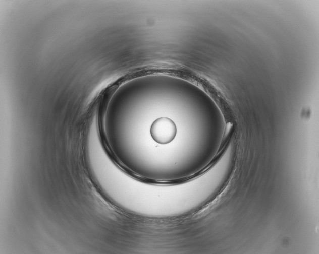 X0000094231402200711021152