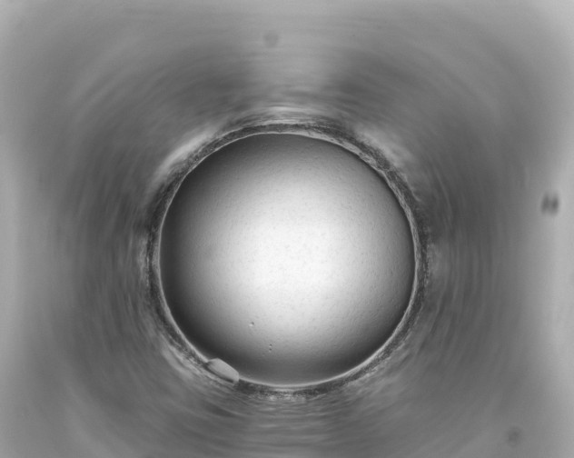 X0000094231403200711021152