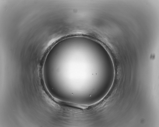 X0000094231404200711021152