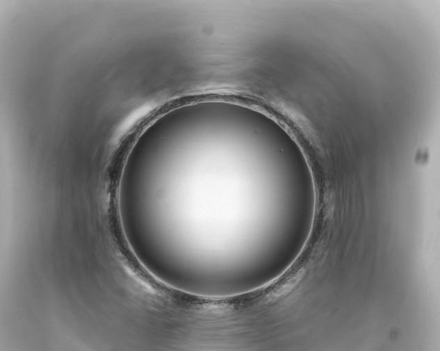 X0000094231406200711021152