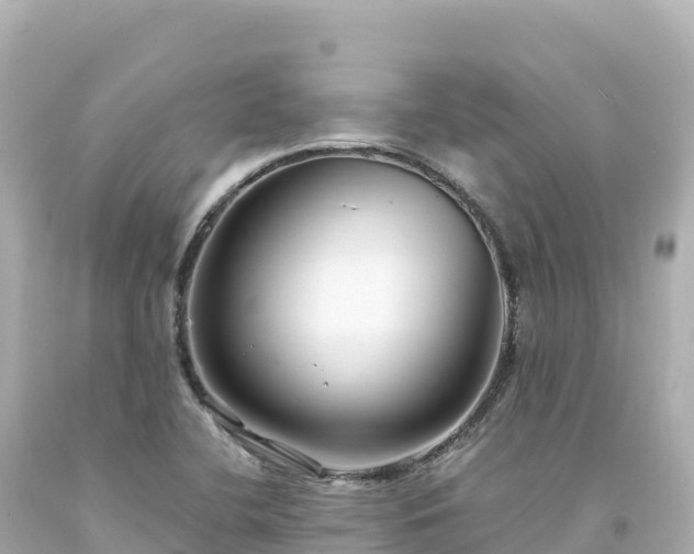 X0000094231412200711021152