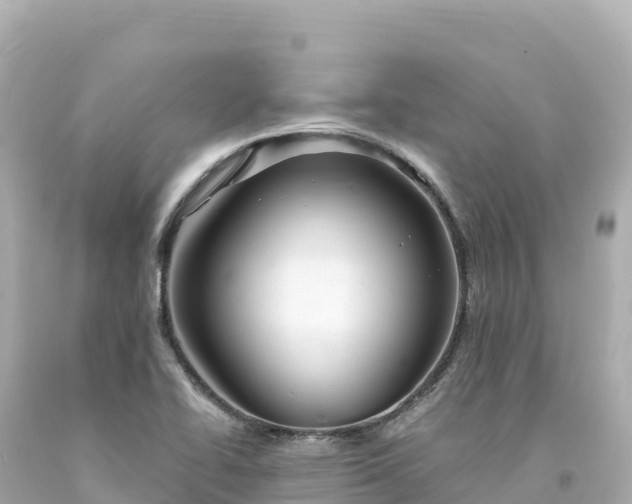 X0000094231414200711021152