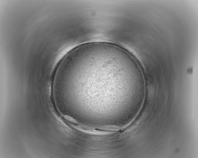 X0000094231415200711021152