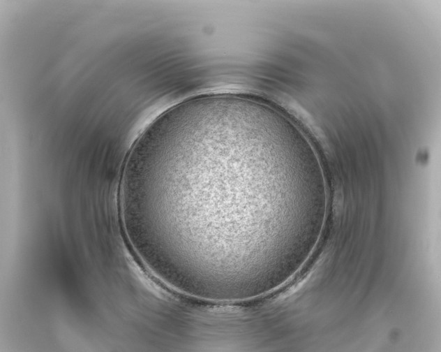 X0000094231417200711021152