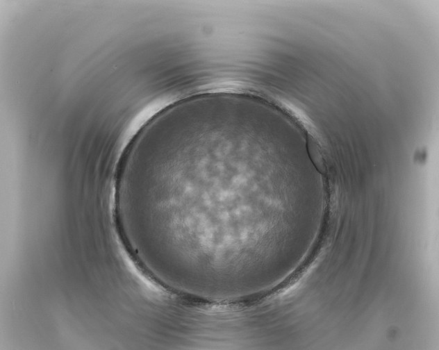 X0000094231418200711021152