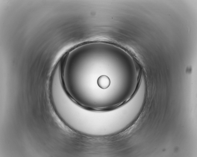 X0000094231422200711021152
