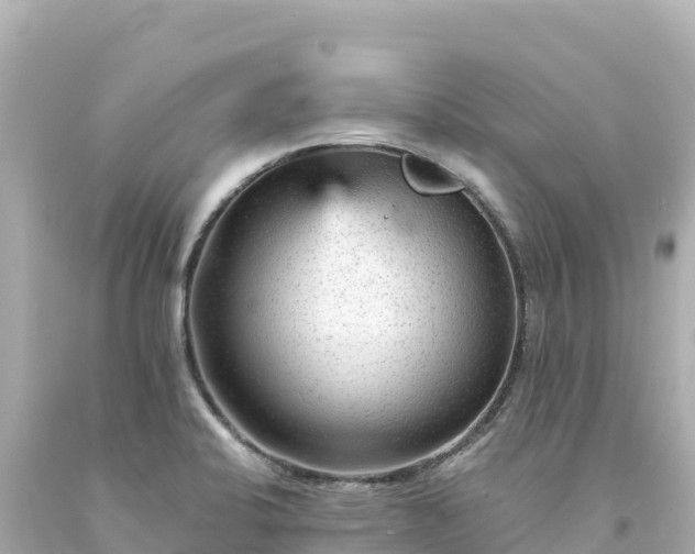 X0000094231424200711021152