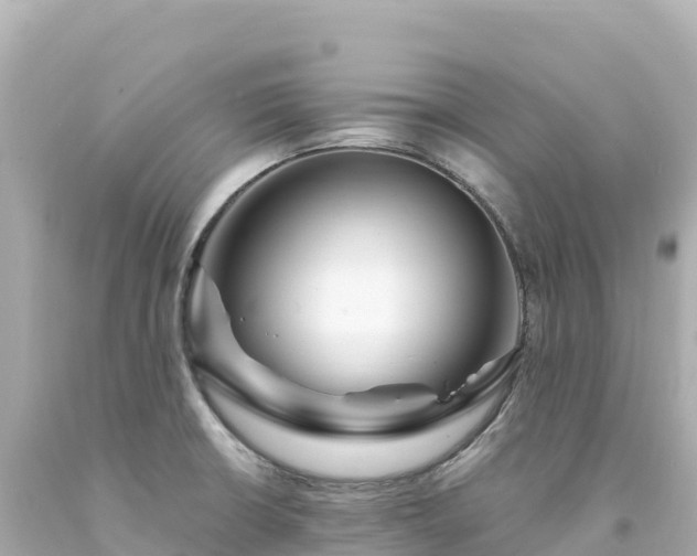 X0000094231426200711021152