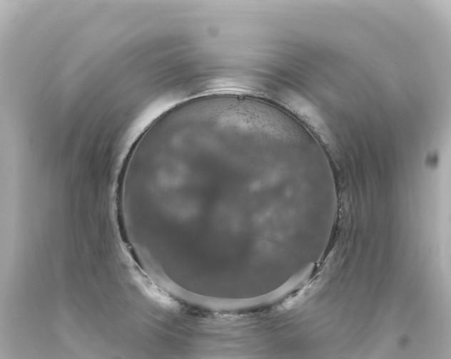 X0000094231427200711021152