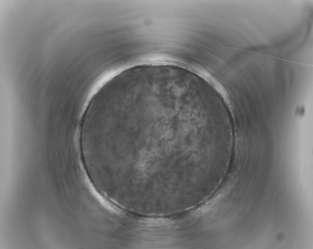 X0000094231429200711021152