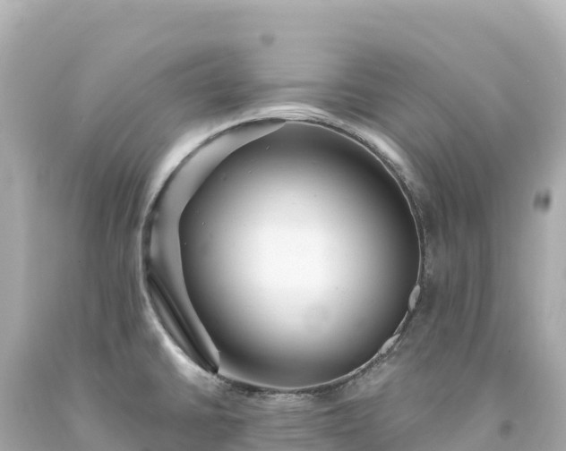 X0000094231430200711021152