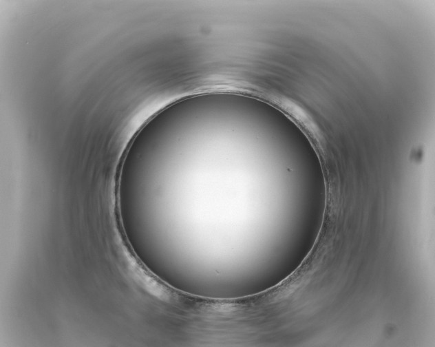 X0000094231431200711021152