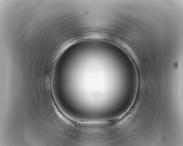 X0000094231433200711021152