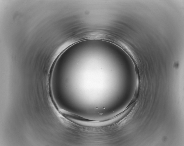 X0000094231434200711021152