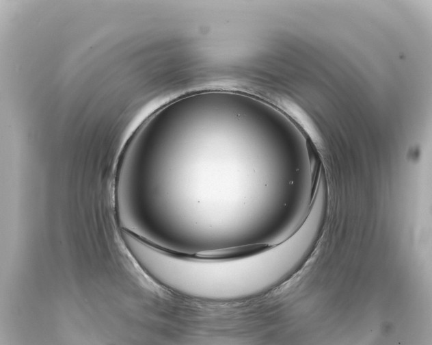 X0000094231436200711021152