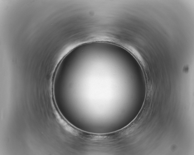 X0000094231439200711021152