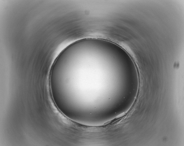 X0000094231440200711021152