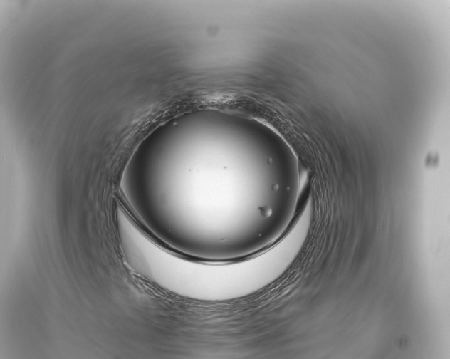 X0000094231441200711021152