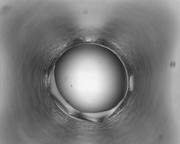 X0000094231443200711021152