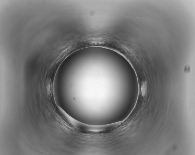 X0000094231444200711021151